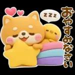 夏にかわいい♡豆柴日和