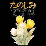 もふ屋画♪チップとデール