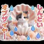 三毛猫のネガティブスタンプ