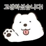 왕털뭉치 사모예드