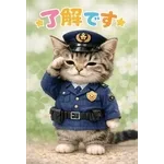 とびだす★ねこちゃんの日常
