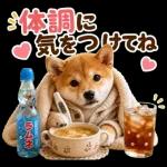 飛び出す♡雨の日わんこ