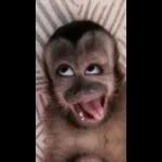 Amor Que te vaya bien en todas las cositas que tengas que hacer hoy, Te Amo Te Amo