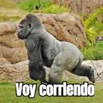 changos