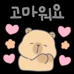 카피바라 카니의 상냥한 하루