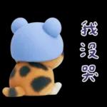 可愛小花貓超能幹的啦❤