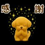 毎日使える【挨拶★返事】トイプードル