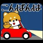 飛び出す！豆柴「野球と日常」