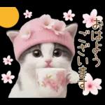 可愛いハチワレ猫 春の思いやり 敬語