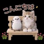 仲良し♡シマエナガと子猫ちゃん