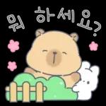 카피바라 카니의 상냥한 하루