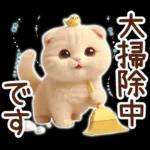 冬の猫のスコティッシュ【よく使う言葉】