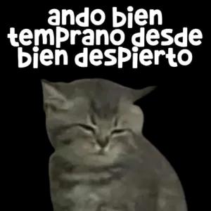 ando bien temprano desde bien despierto - getsticker.com