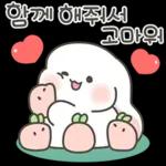 샤니의 반짝반짝 크리스마