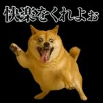 ガンギマリの柴犬＠エロ・日常会話