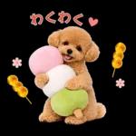 春♡とってもかわいいトイプードル