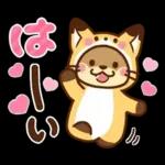 コツメカワウソ♡毎日つかえる秋