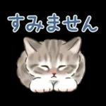 ふんわり可愛い☆猫たちのスタンプ