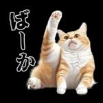 生成失敗猫【毒舌・煽り・煽る・シュール】