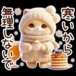 冬の猫のスコティッシュ【よく使う言葉】