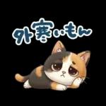 三毛猫の冬のあいさつ