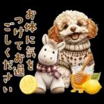 午年2026年！プードルとうまの年末年始