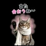 毎年使える♪リアルなにゃんこの年末年始