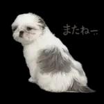 モカのスタンプ　幼少期編