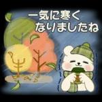 癒しを運ぶくまさん ♡ ほっこり秋