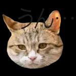 意外と使える！ネガティブなタイプの猫たち