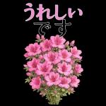 5月 春の花 大きくて見やすい挨拶スタンプ