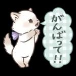 毎日使える♡大人可愛いガーリーキャット2