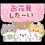 ふんわりにゃんこの春