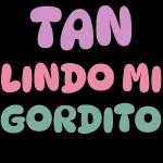 TAN LINDO MI GORDITO