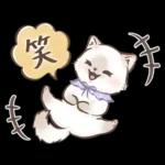 毎日使える♡大人可愛いガーリーキャット2