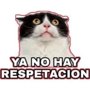YA NO HAY RESPETACION - getsticker.com