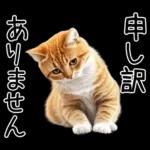 リアルな猫の敬語