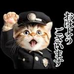 リアル猫警察官