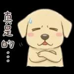 小拉拉 實用日常