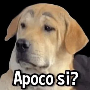Apoco si? - getsticker.com