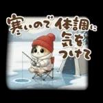 三毛猫の冬のあいさつ