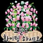 오늘은 꽃 주는 날 2