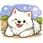 超かわいいサモエド犬の日常 普段使いに！