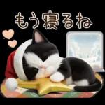 可愛いハチワレ猫 サンタ帽 冬 気づかい