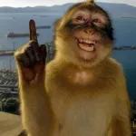                              Memes Clásicos 5.0😏💕TOP STICKERS