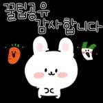 채식하는 토끼,비건이