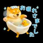 大人の華やか年賀状'26