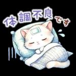 猫のつめあわせ【夏】