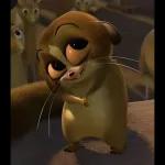 ¡Tu chat no puede estar sin estos stickers!