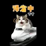 毎年使える♪リアルなにゃんこの年末年始